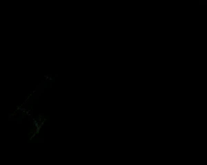 1280x1024 geennachtmodus geenflitser