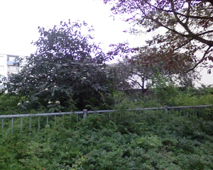 1280x1024 willekeurig 01