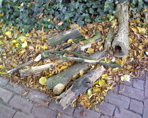 1280x1024 willekeurig 01