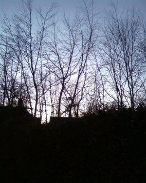 1280x1024 zufällig 02