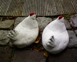 1280x1024 willekeurig 03