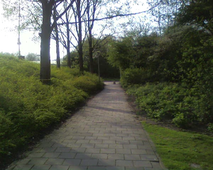 1280x1024 slumpmässig 04