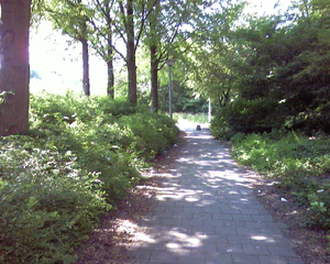 1280x1024 aléatoire 04