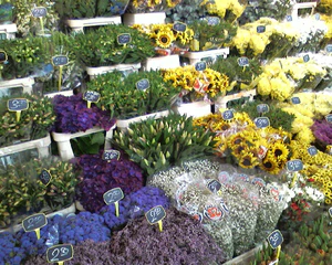 1280x1024 aléatoire 11