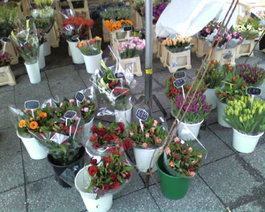 1280x1024 willekeurig 12