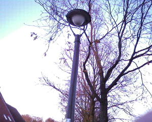 1280x1024 zufällig 13