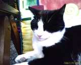 1280x1024 buitenkant auto