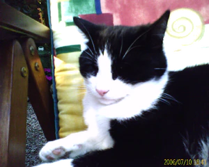 1280x1024 buitenkant auto