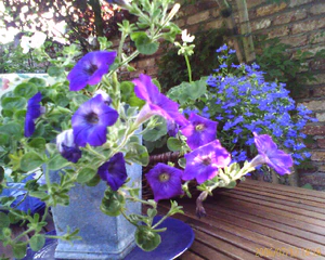 1280x1024 buitenkant willekeurig