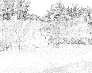 1280x1024 superfijn iso auto schets