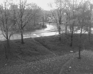 1280x1024 superfijn iso auto zwartwit