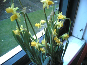 1280x960 achterkant binnen nachtmodus