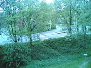 1280x960 achterkant fluorescerend