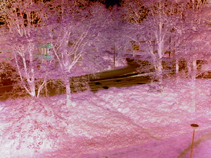 1280x960 achterkant negatief