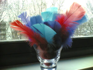 1280x960 achterkant zoom 01