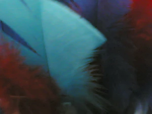 1280x960 achterkant zoom 06