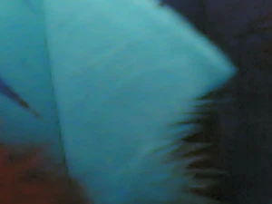 1280x960 achterkant zoom 08