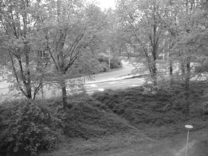 1280x960 achterkant zwart wit