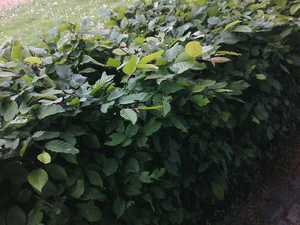 1280x960 Helligkeit 2