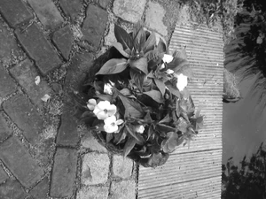 1280x960 effect black white