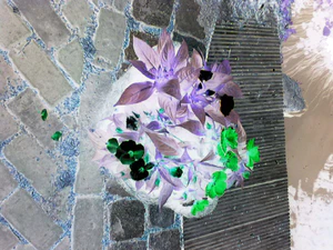 1280x960 effect negative