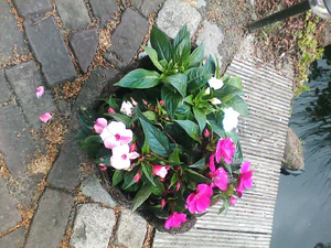 1280x960 effect normal