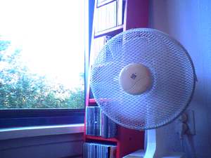 1280x960 extra groot indoorhome