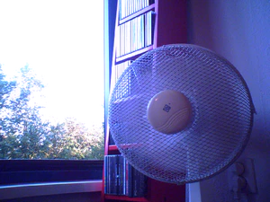 1280x960 extra groot indooroffice