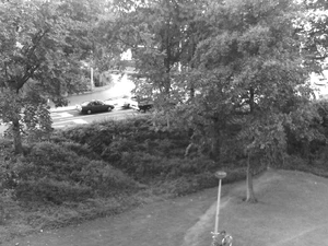 1280x960 grå scales