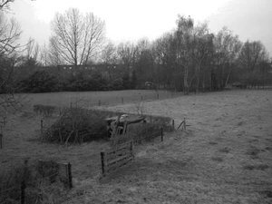 1280x960 grijsschaal