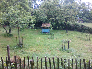 1280x960 zufällig 04