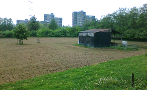 1280x960 zufällig 11