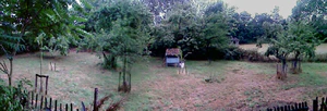 1408x480 panorama 01