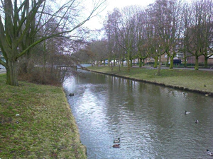 1600x1200 ambience automatic