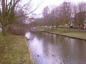 1600x1200 ambience daylight