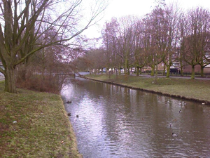 1600x1200 ambience fluorescent