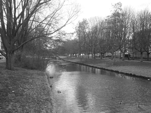 1600x1200 ambience grayscale