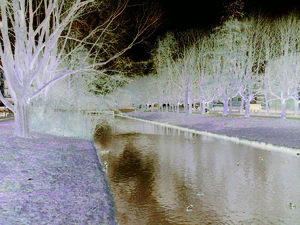 1600x1200 ambience negative