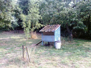 1600x1200 b right side ness 0.5