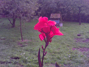 1600x1200 helderheid 1