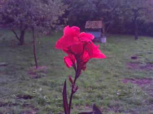 1600x1200 helderheid 2