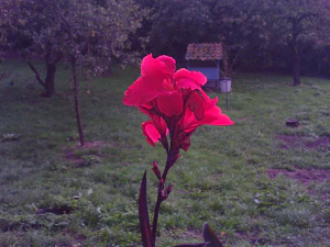 1600x1200 helderheid 3