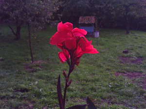 1600x1200 helderheid 4