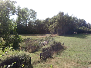 1600x1200 brillo Plus1