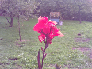 1600x1200 helderheid Plus1