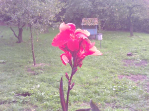 1600x1200 helderheid Plus2