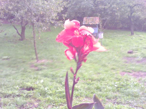 1600x1200 helderheid Plus3