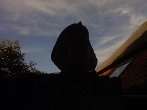 1600x1200 b right side ness Plus3