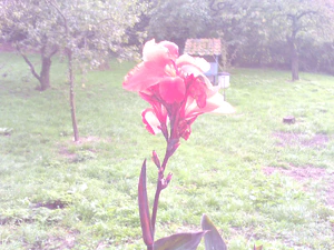 1600x1200 helderheid Plus4