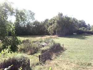 1600x1200 helderheid Plus4